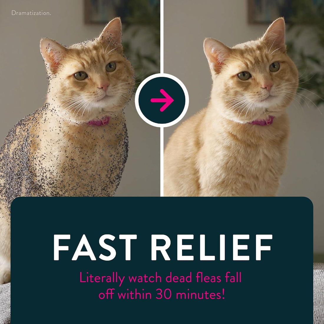 Capstar Cat Flea Treatment, Fast-Acting Oral Flea Treatment for Cats