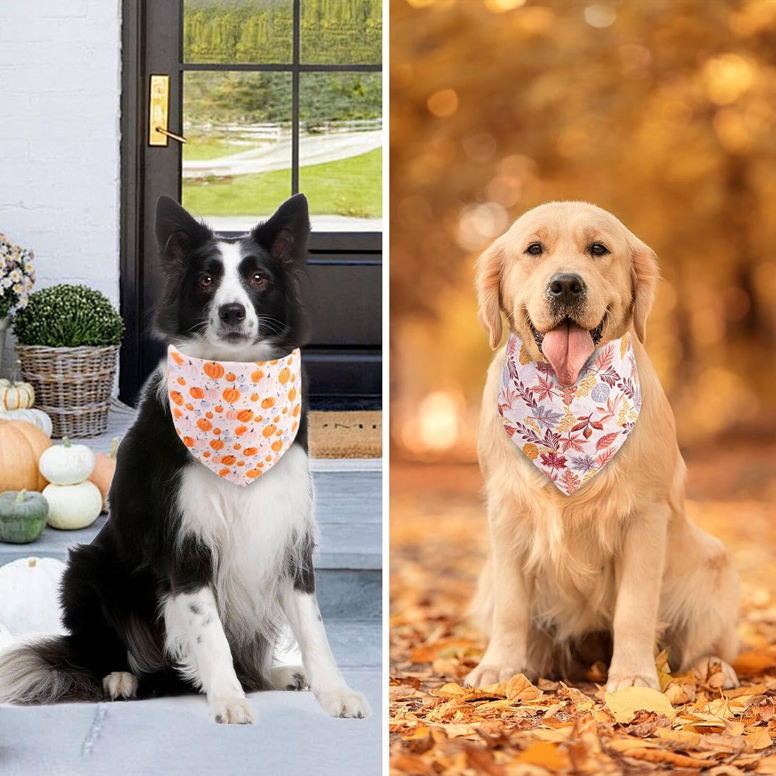 Fall Dog Bandanas 2PCS Large, Thanksgiving Pumpkin Leaf Scarf
