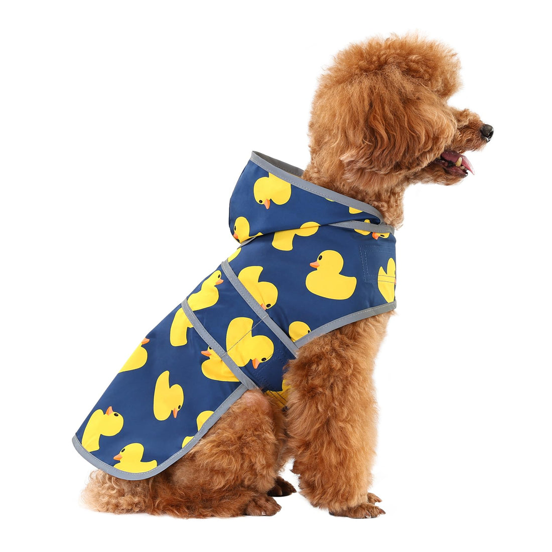 Dog Raincoat for Small Dogs Puppies Waterproof Jacket Hooded Rain