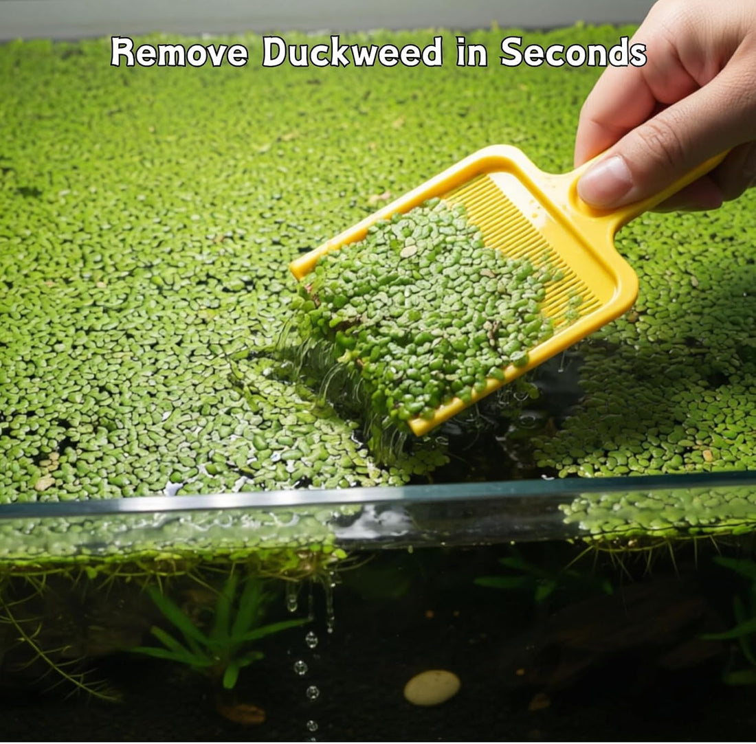 Duckweed Remover Tool for Aquarium, Floating Plant Skimmer