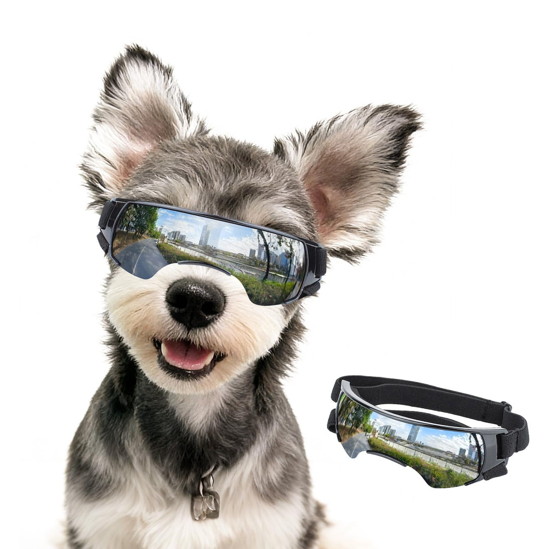 Dog Goggles for Small Dog Doggy Goggles with Adjustable Straps