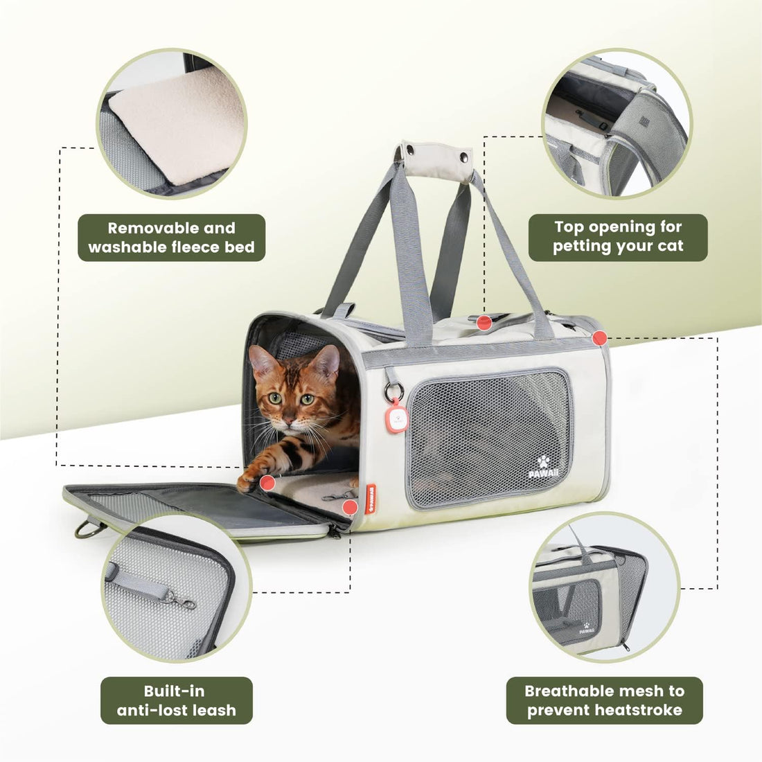 Pawaii Cat Carrier with ID Tag