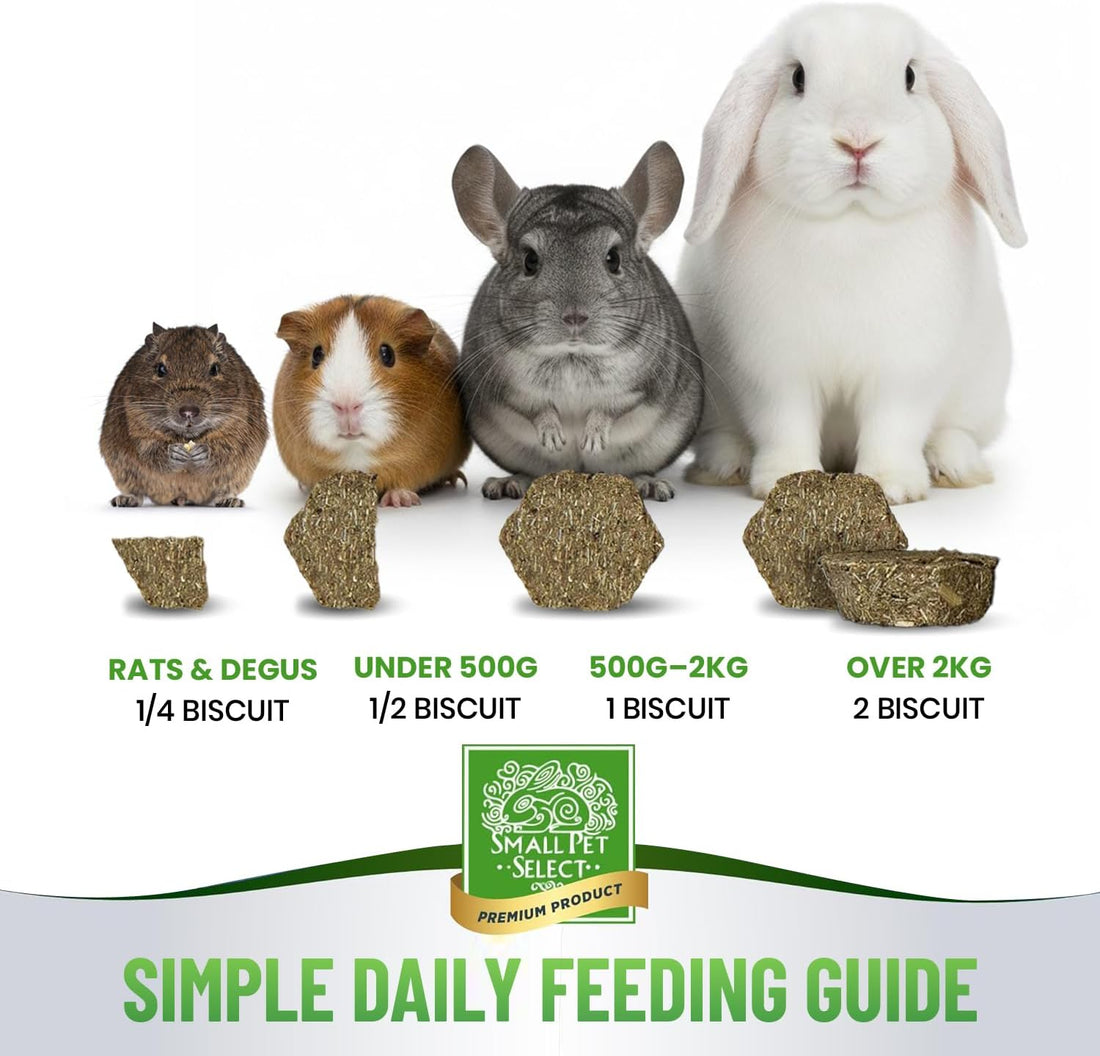 Small Pet Select Digestion Support Supplement for Rabbits, 4.2 oz