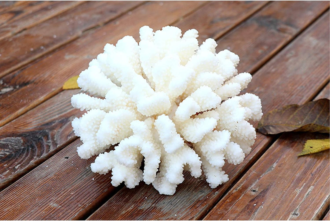 Besimple Pack of 2 Artificial Coral Ornament