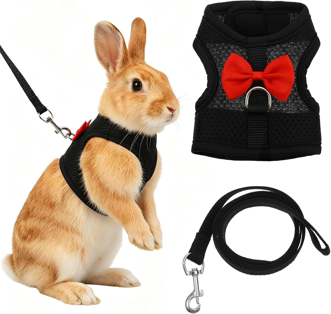 Black Rabbit Harness and Leash Set with Cute Bow for Small Pets