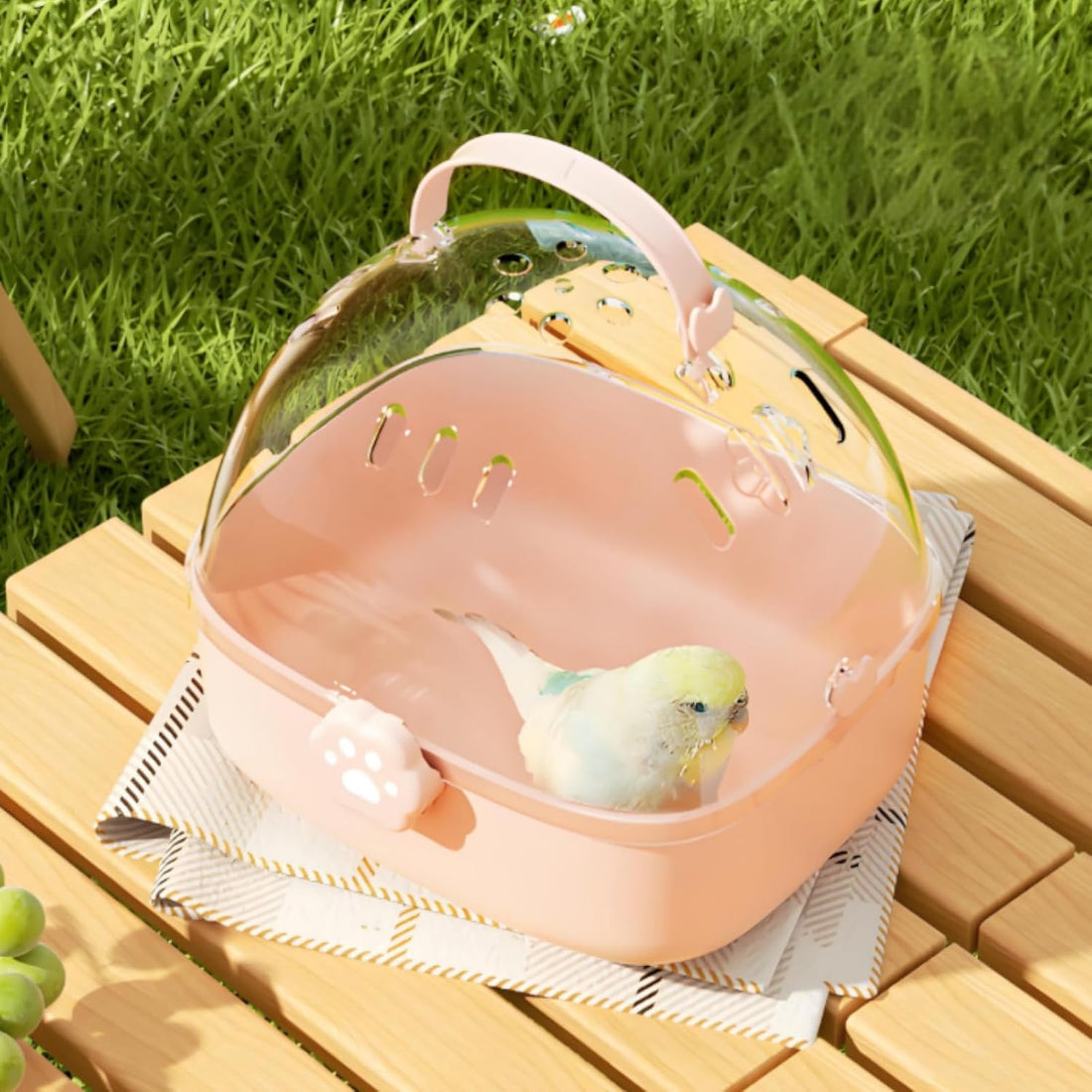 Hamster Carrier Cage with Handle, Small Animal Outgoing Cage