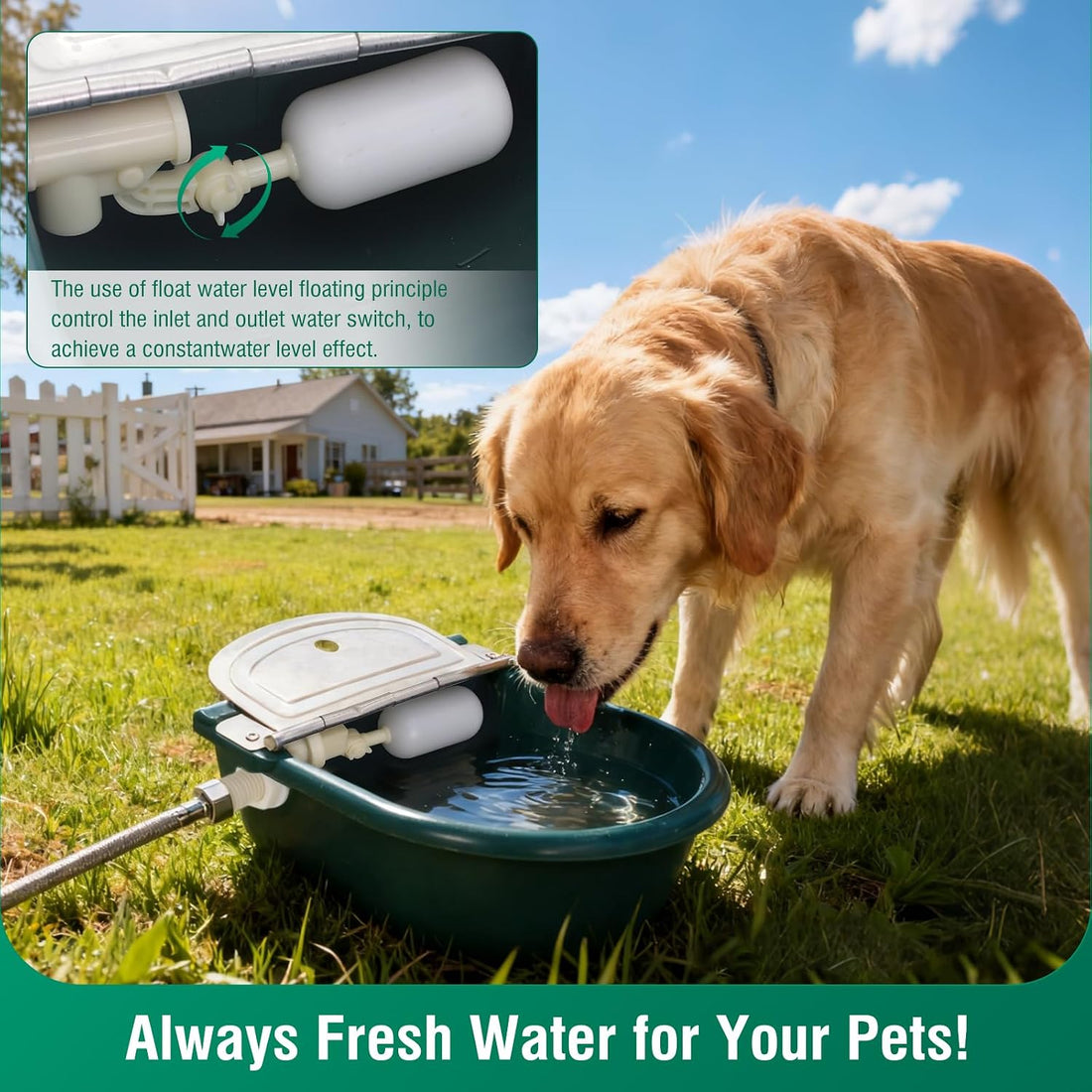 2 Set Automatic Water Bowl Livestock Waterer for Horse Cattle Sheep
