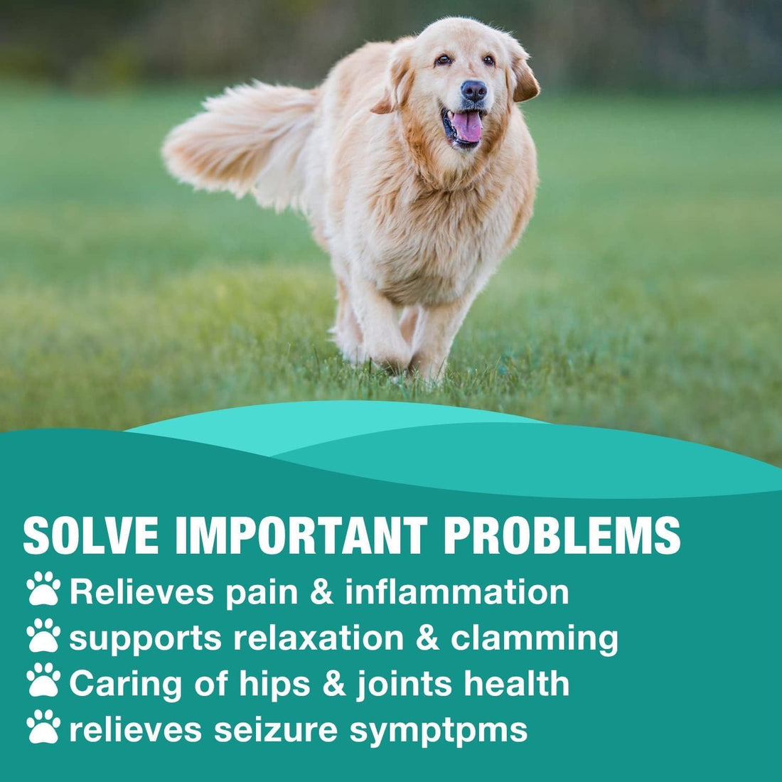 2 Pack Hemp Oil for Dogs & Cats- Helps Pets with Аnxiety, Pаin, Strеss