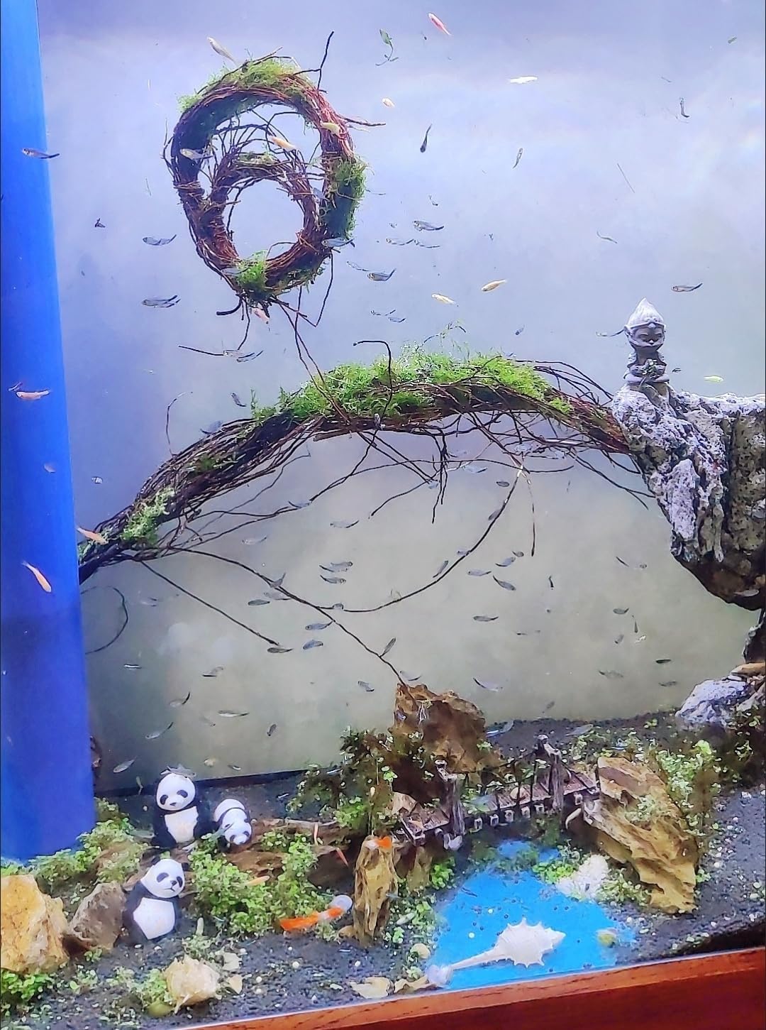 YZHZOM 160g Aquarium Driftwood Roots