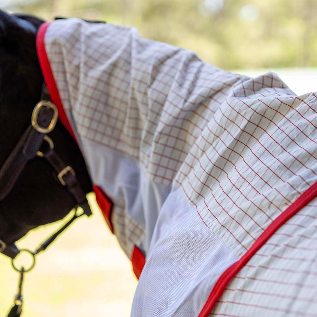 Jeffers Romper Stomper Sweet Itch Fly Sheet for Horses