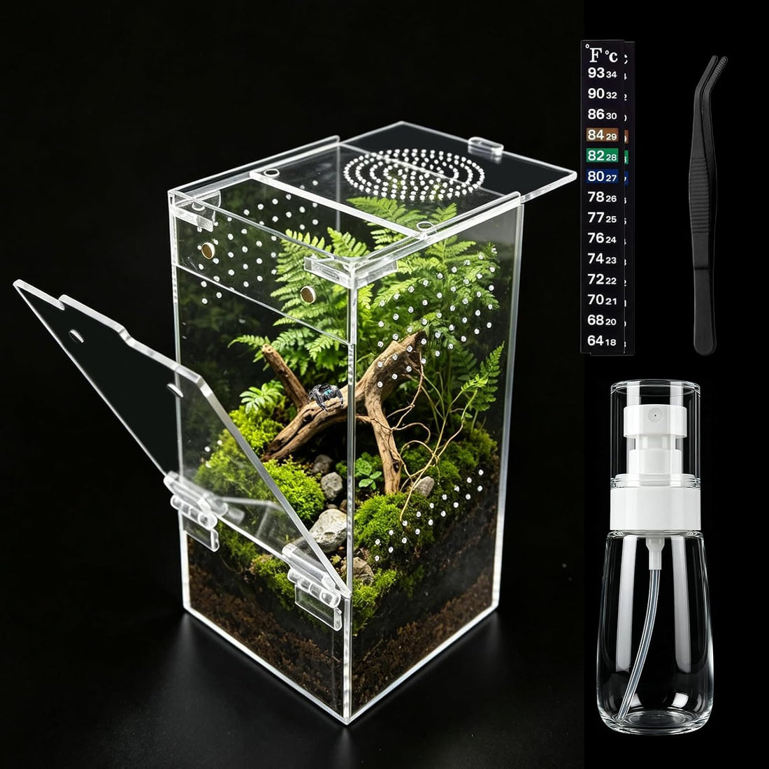 Jumping Spider Enclosure 4" x 4" x 8" Acrylic Habitat Kit