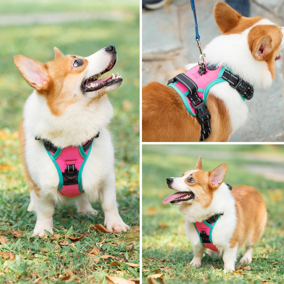 PHOEPET 2019 Upgraded No Pull Dog Harness, Reflective Adjustable Vest