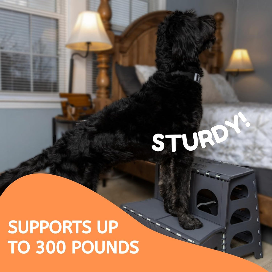 Bee Neat 2 Step Folding Dog Stairs & Ramp for Your Pet