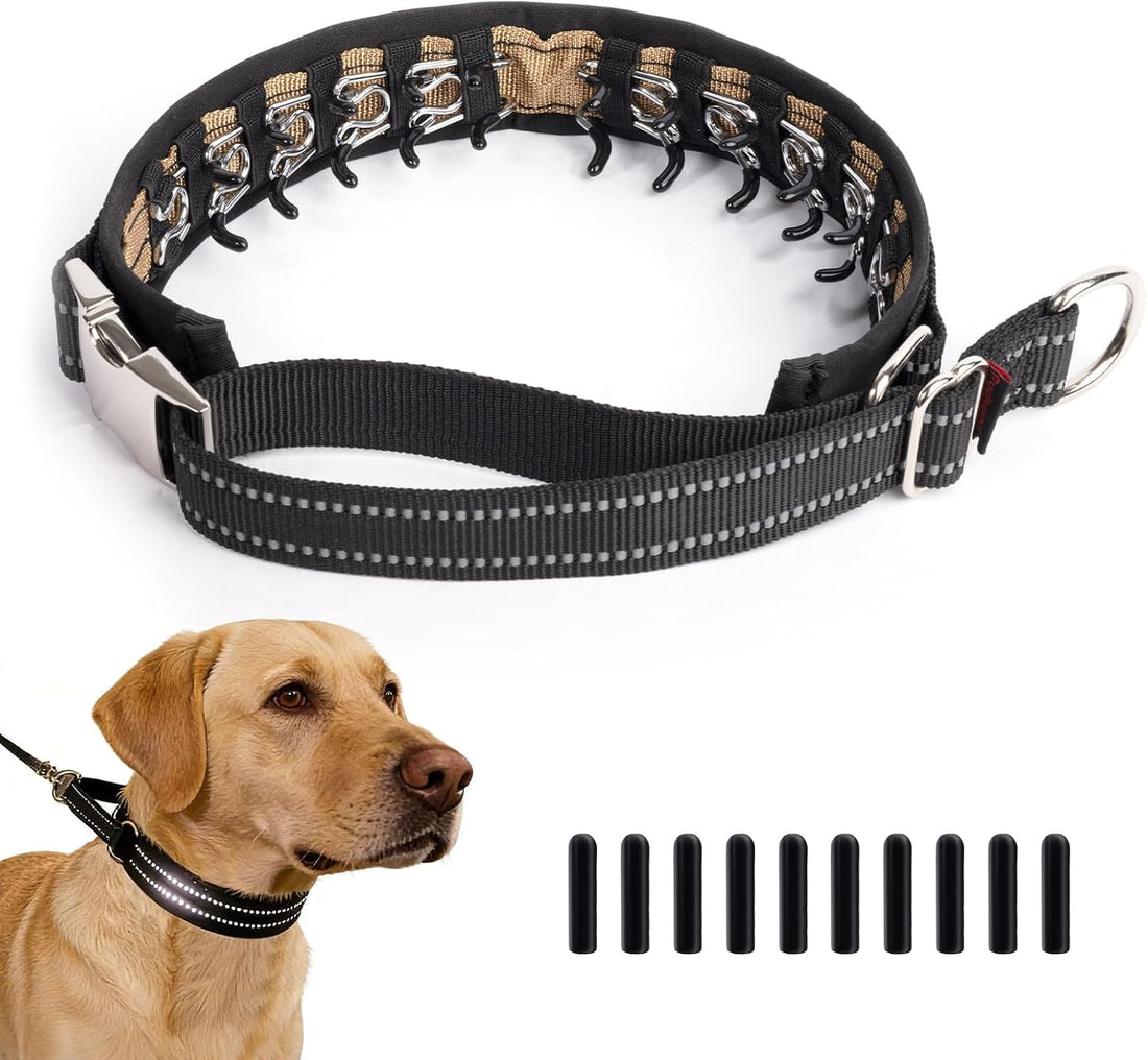 Hidden Prong Collar, Adjustable Martingale Design, M