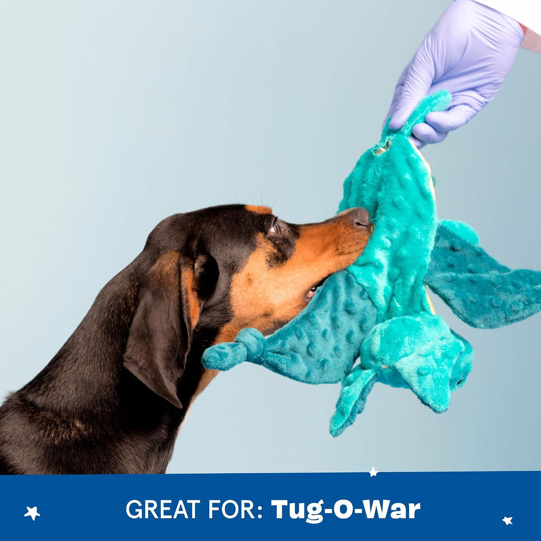 BARKBOX Best of BarkBox Interactive Plush Dog Toy Bundle