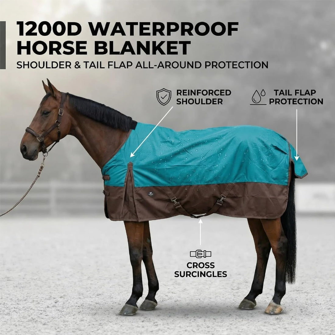 1200Denier Waterproof and Breathable Horse Sheet Tgw Riding Horse
