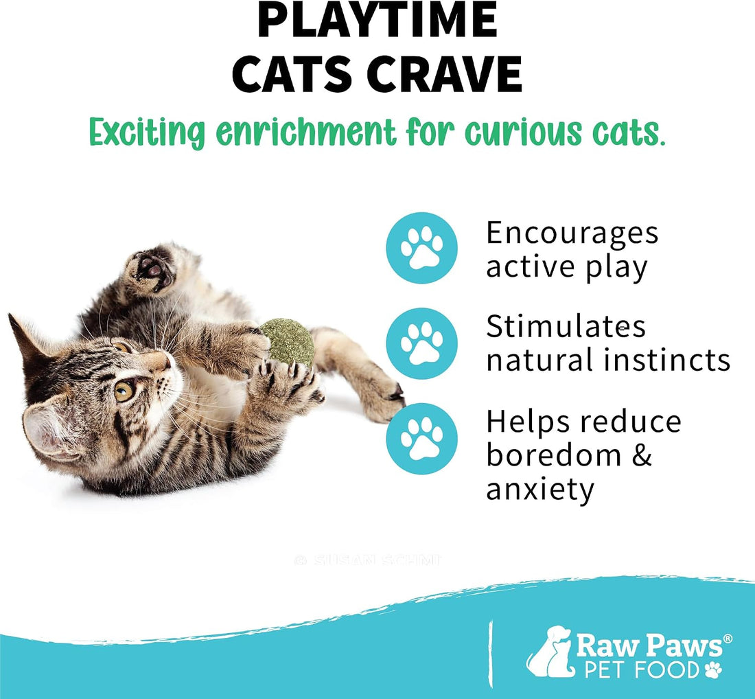 Raw Paws Catnip Balls for Cats (6-Count) - Interactive Indoor Cat Toy