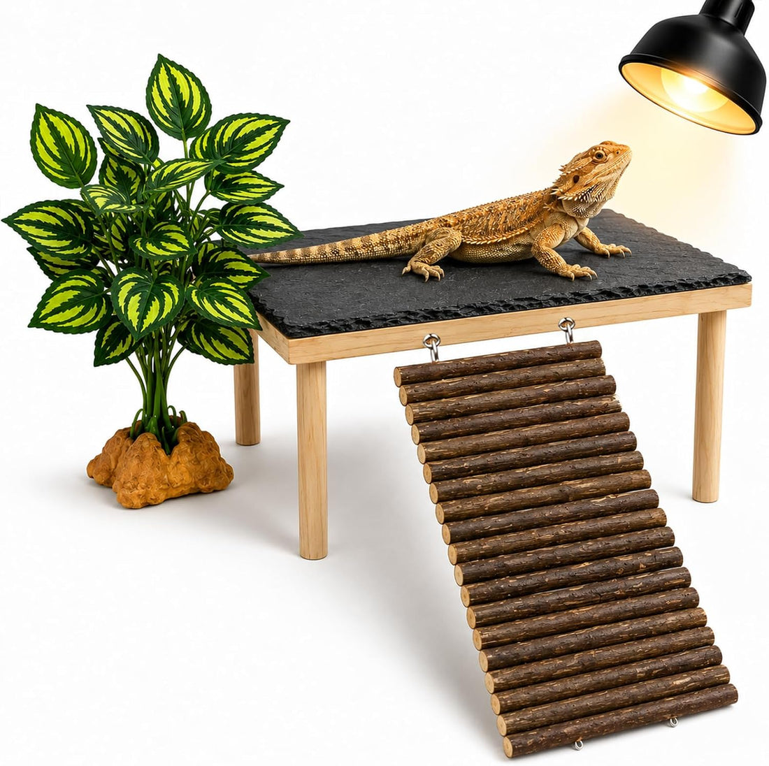 Bearded Dragon Basking Platform with Genuine Natural Slate Rock