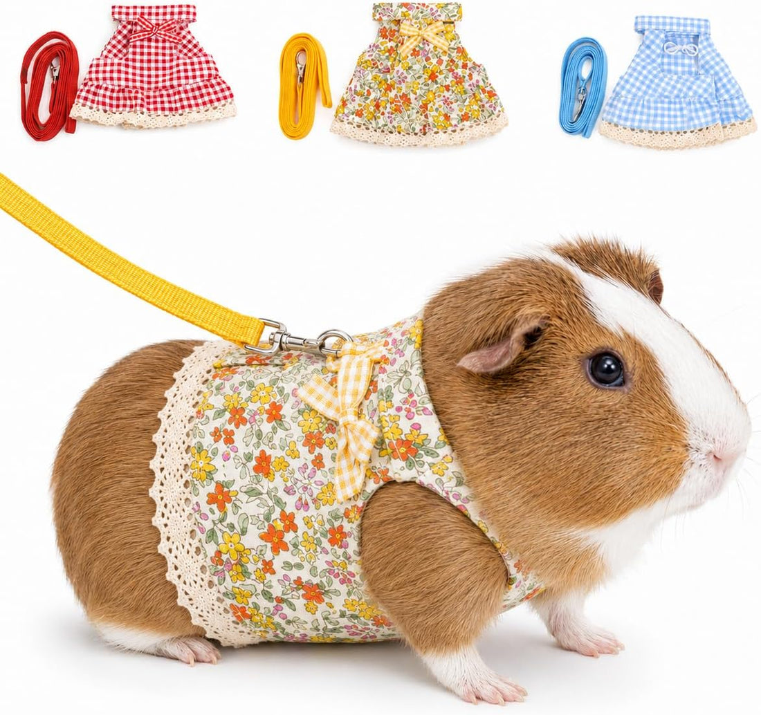Guinea Pig Harness and Leash Set