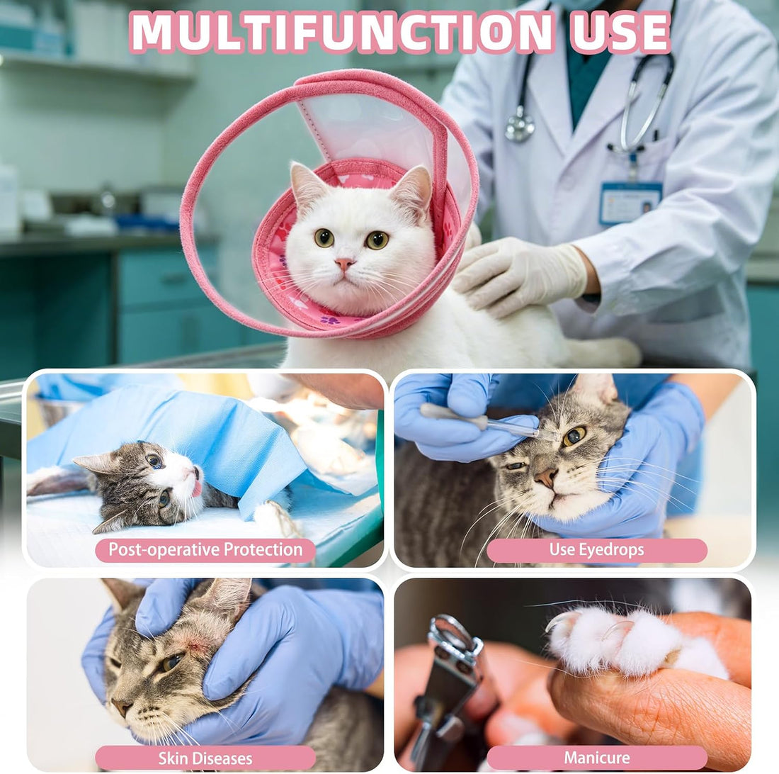 PUPTECK Cat Cone Collar Soft for Neck