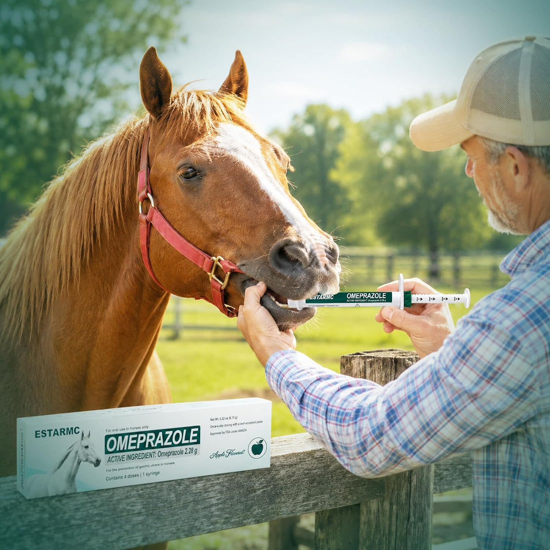 3 Pack Oral Paste Syringe for Horses,Apple Flavor