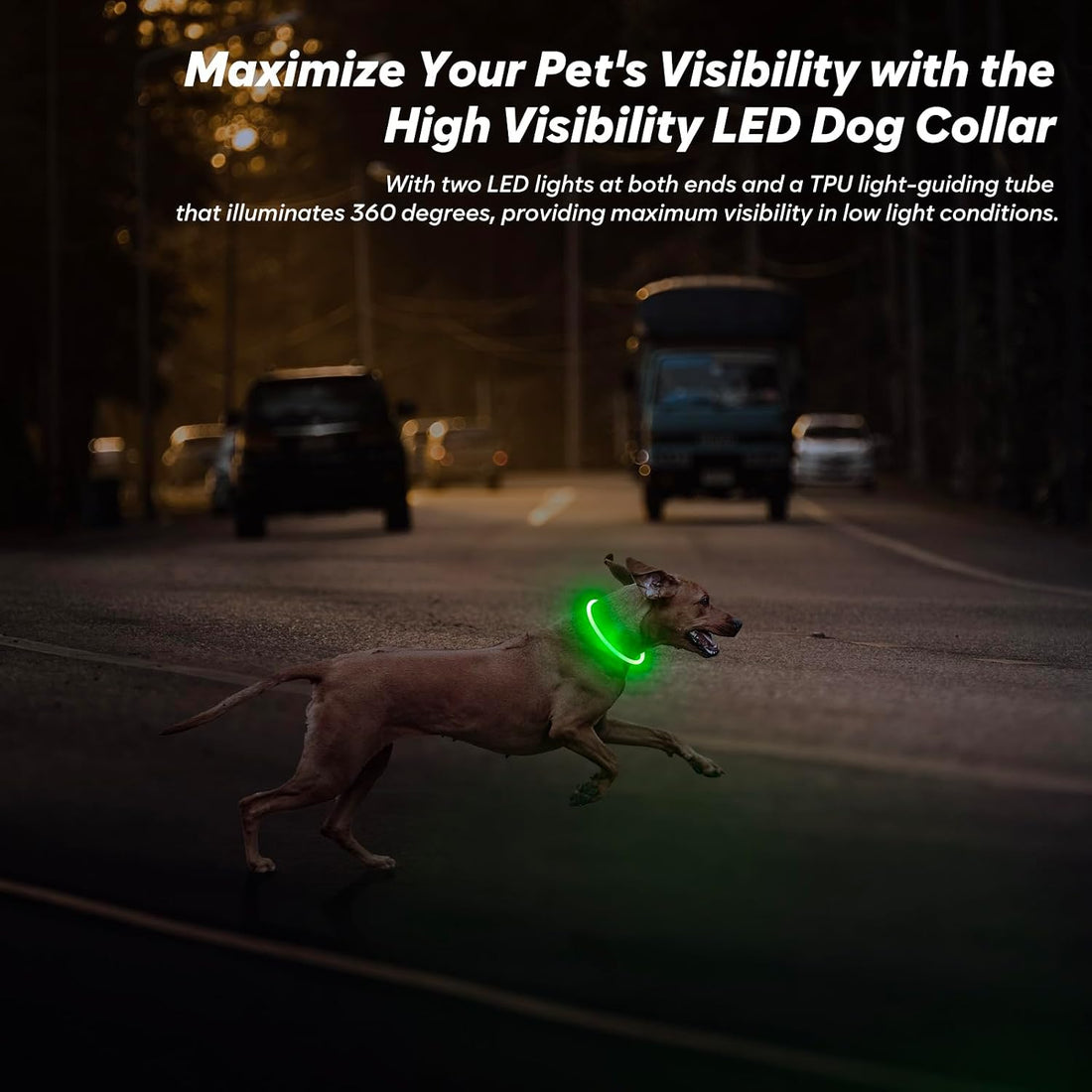 BSEEN Light Up Dog Collar (Green 70cm)