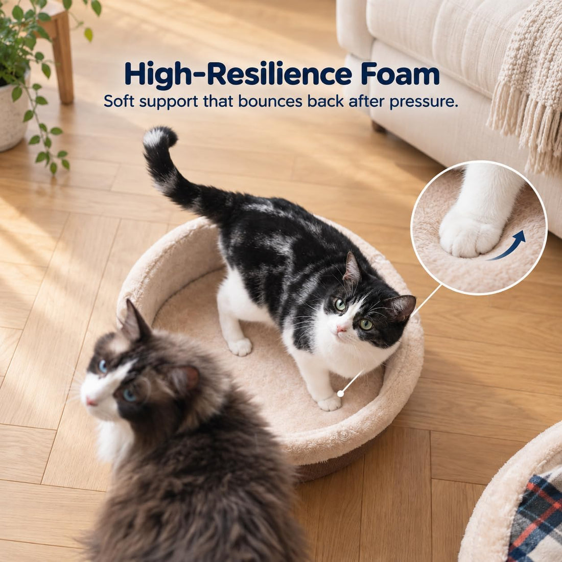 Cat Bed Cave - Enclosed Hideaway with Detachable Lid for Kitten