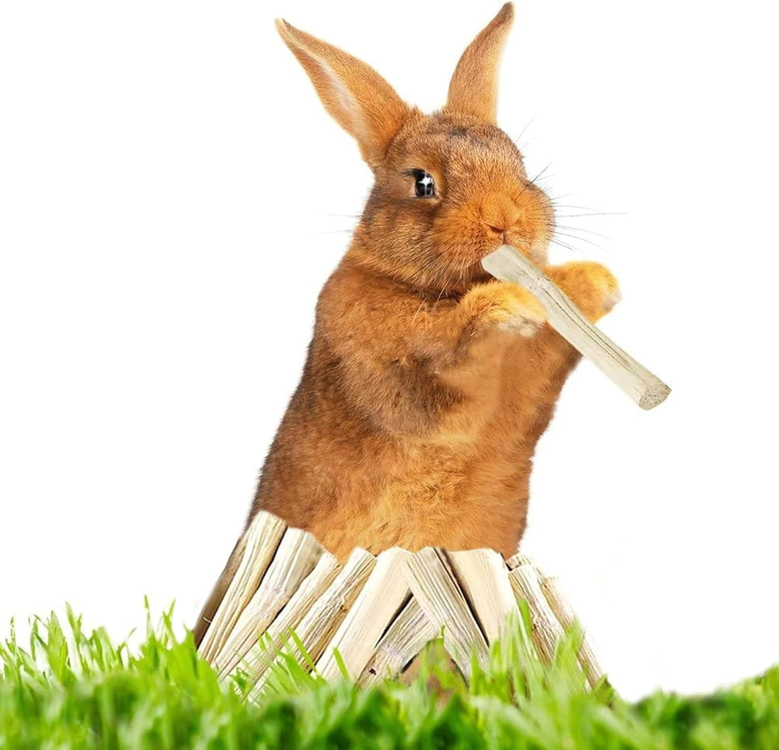SunGrow Sweet Bamboo Chew Sticks for Rabbits