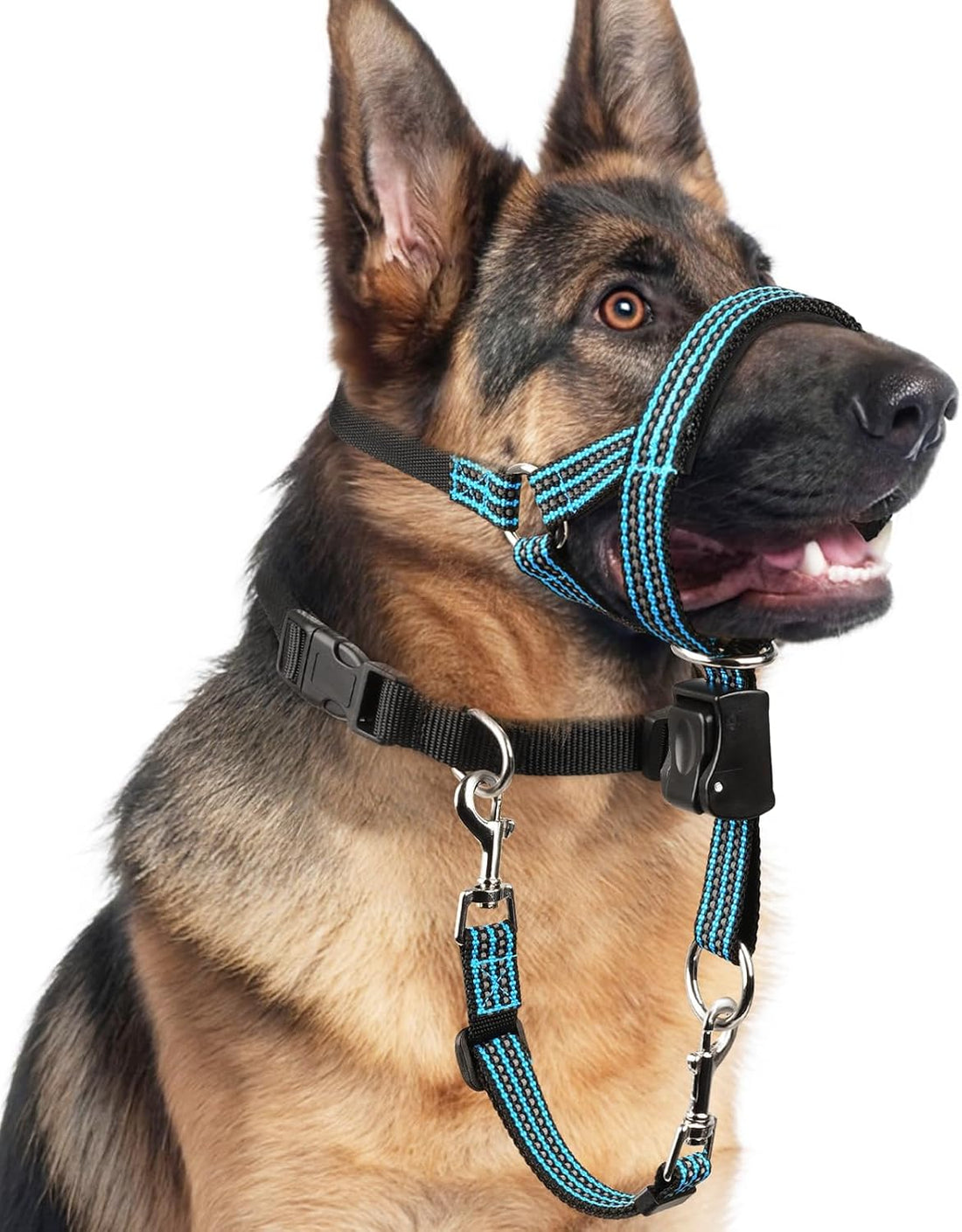 BARKLESS No Pull Dog Head Collar for Gentle Training Walking