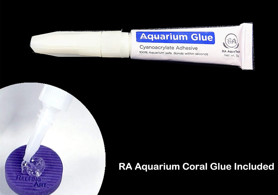 Ceramic Coral Frag Plugs 100 Pack Free Aquarium Glue for SPS LPS Tile