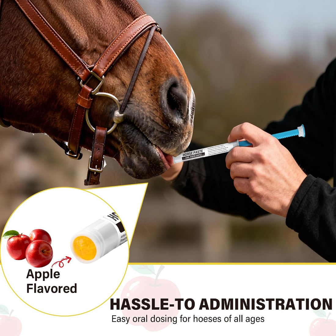 Equine Paste 1.87% – 12 Pack (6.08g) Apple Flavored Oral for Horses