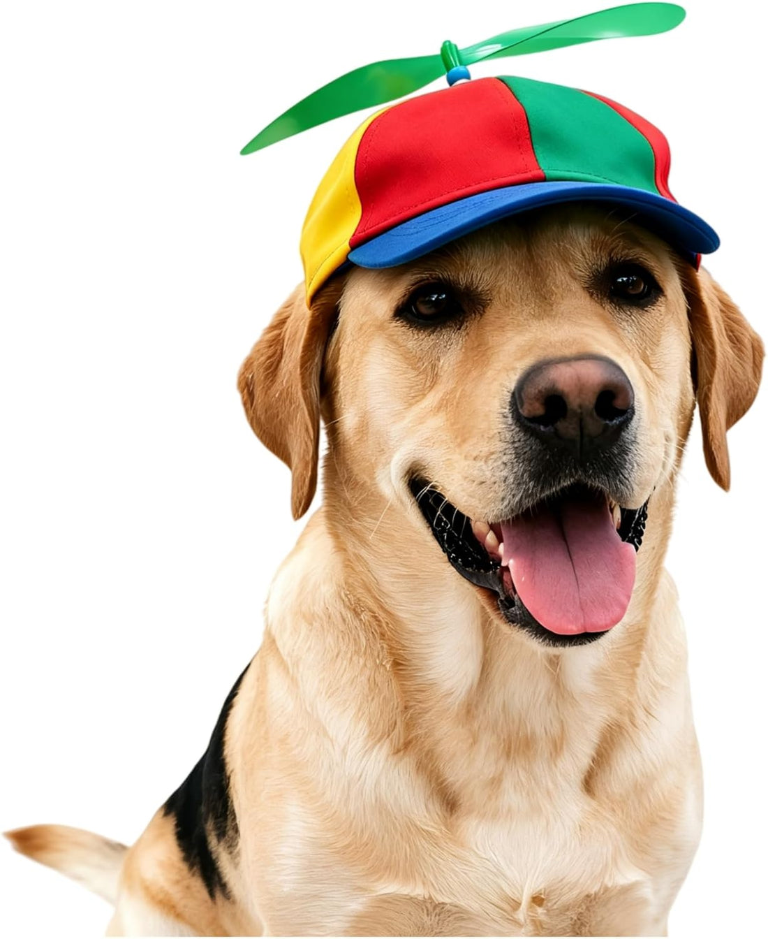 Propeller Pet Hats, Funny Helicopter Adjustment Green Hats for Dog