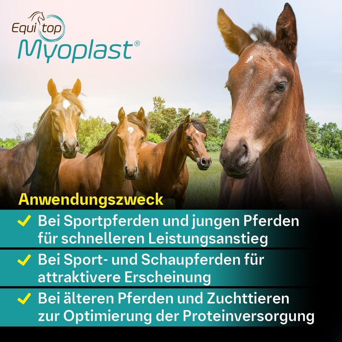 Equitop Myoplast Supplement for Horses 1.5kg