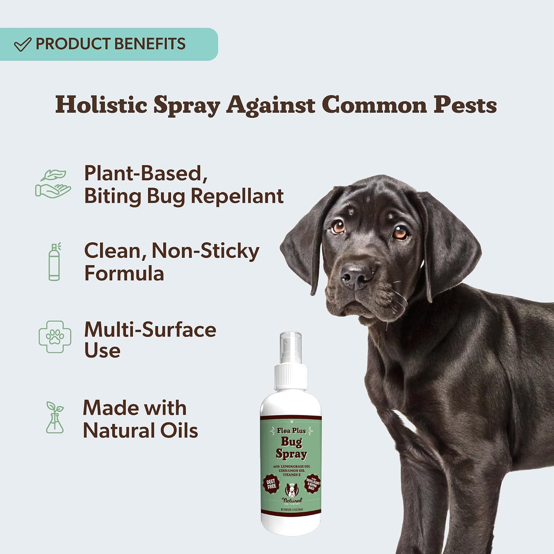 Natural Dog Company Flea Plus Bug Spray for Dogs, 8 fl oz
