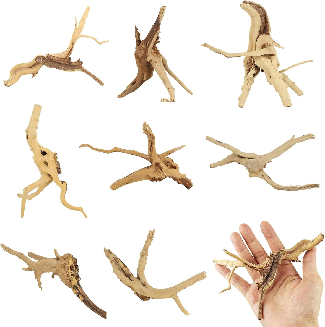 8 Pcs Natural Spider Woods, 4-8 Inch