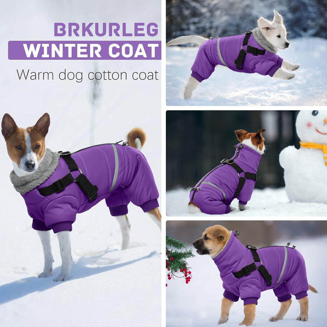 BRKURLEG Small Dog Winter Coat with Harness, Full Body Jacket, Purple