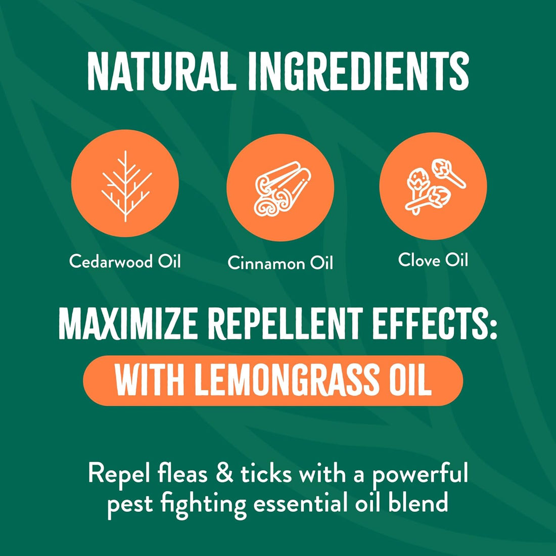 TropiClean Natural Flea Spray for Dogs & Home