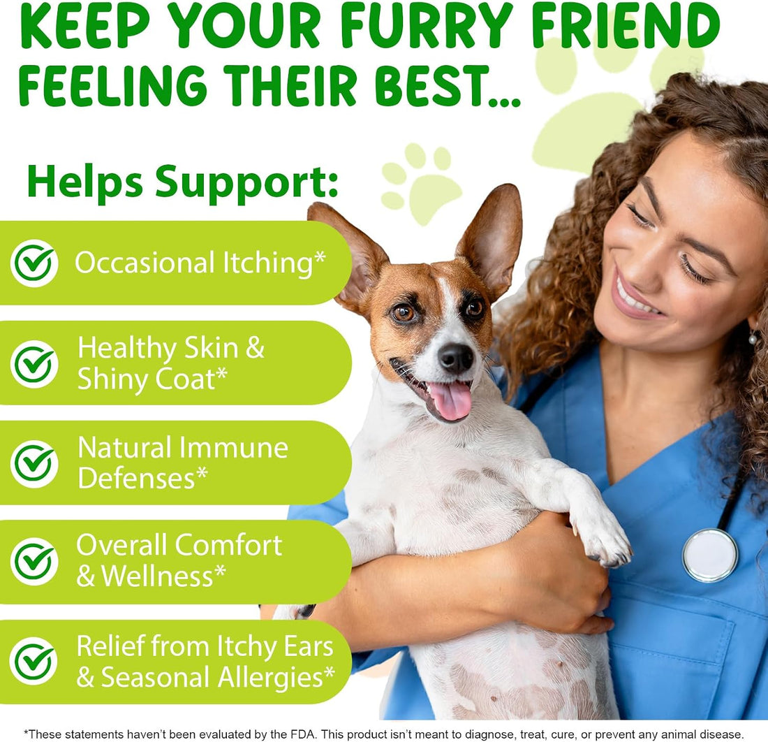 Yeast Infection Treatment for Dogs
