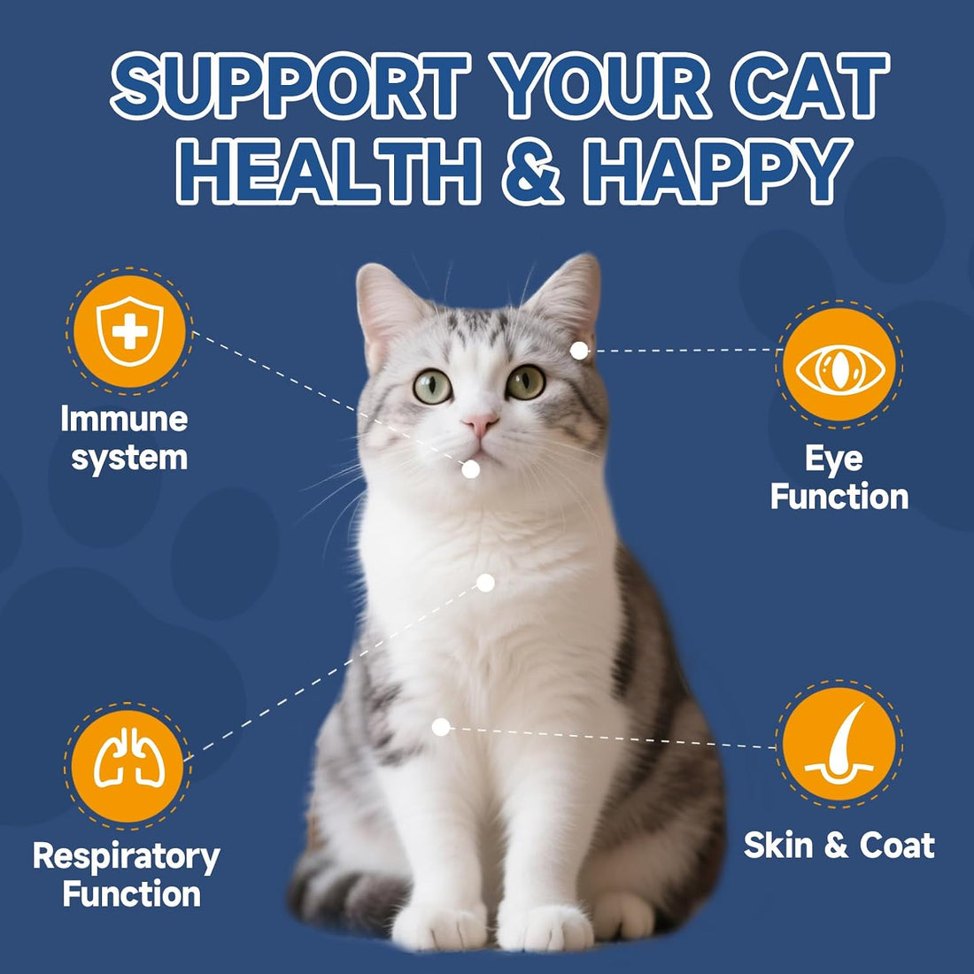L-Lysine for Cats, Support Immune System, Respiratory, Eye Health