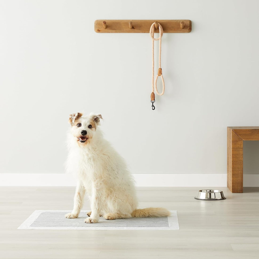 Carbon Odor Control Dog and Puppy Pee Pads