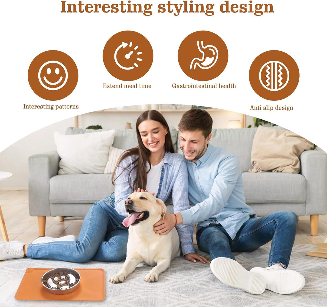 Stainless Steel Slow Feeder Dog Bowls