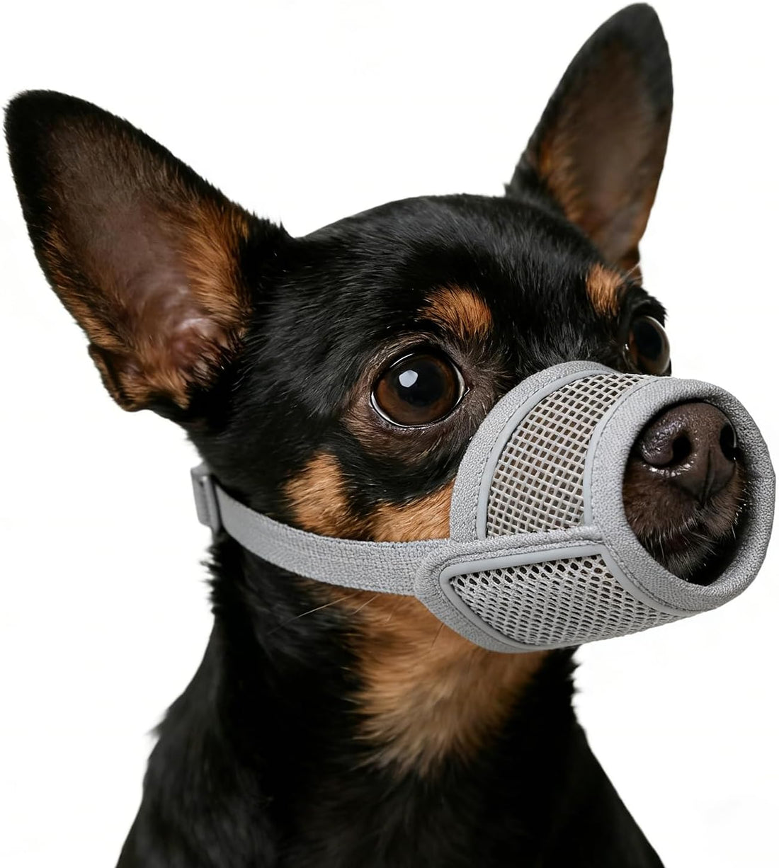 Dog Muzzle for Small Medium Large Dogs Soft Air Mesh Muzzles