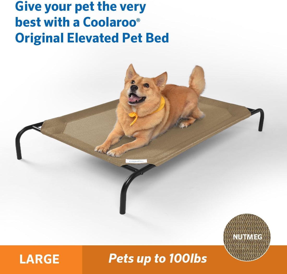 Coolaroo Original Elevated Dog Bed