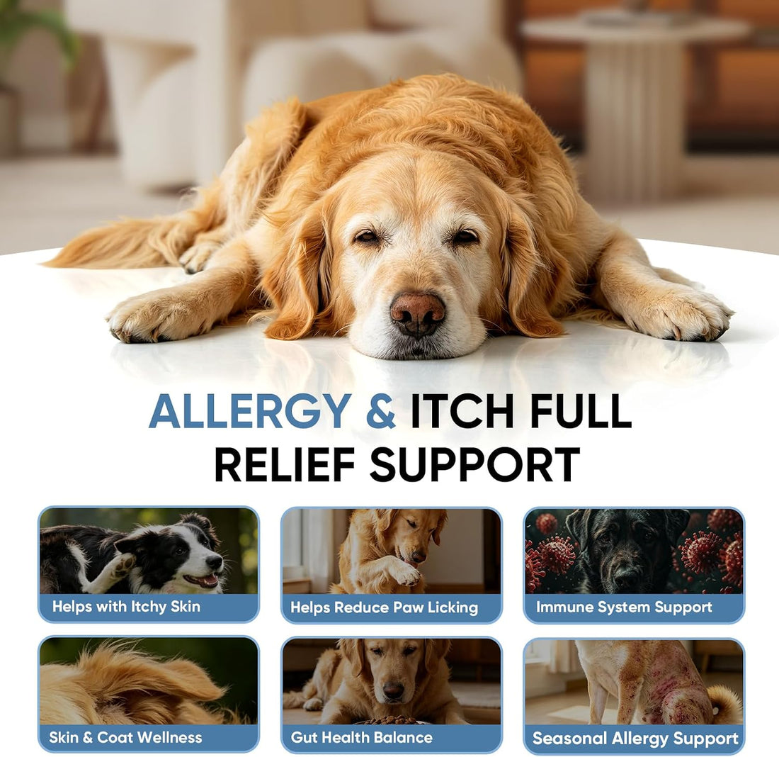 Dog Allergy Chews -，Highly palatable，Helps relieve itchy skin