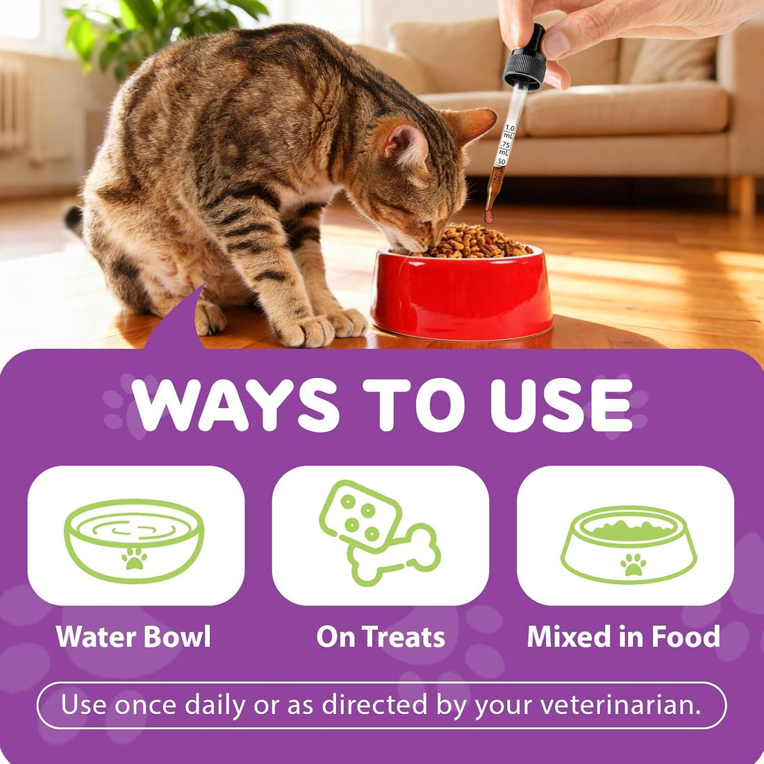 Lysine for Cats - 2 Packs Cat Lysine Drops