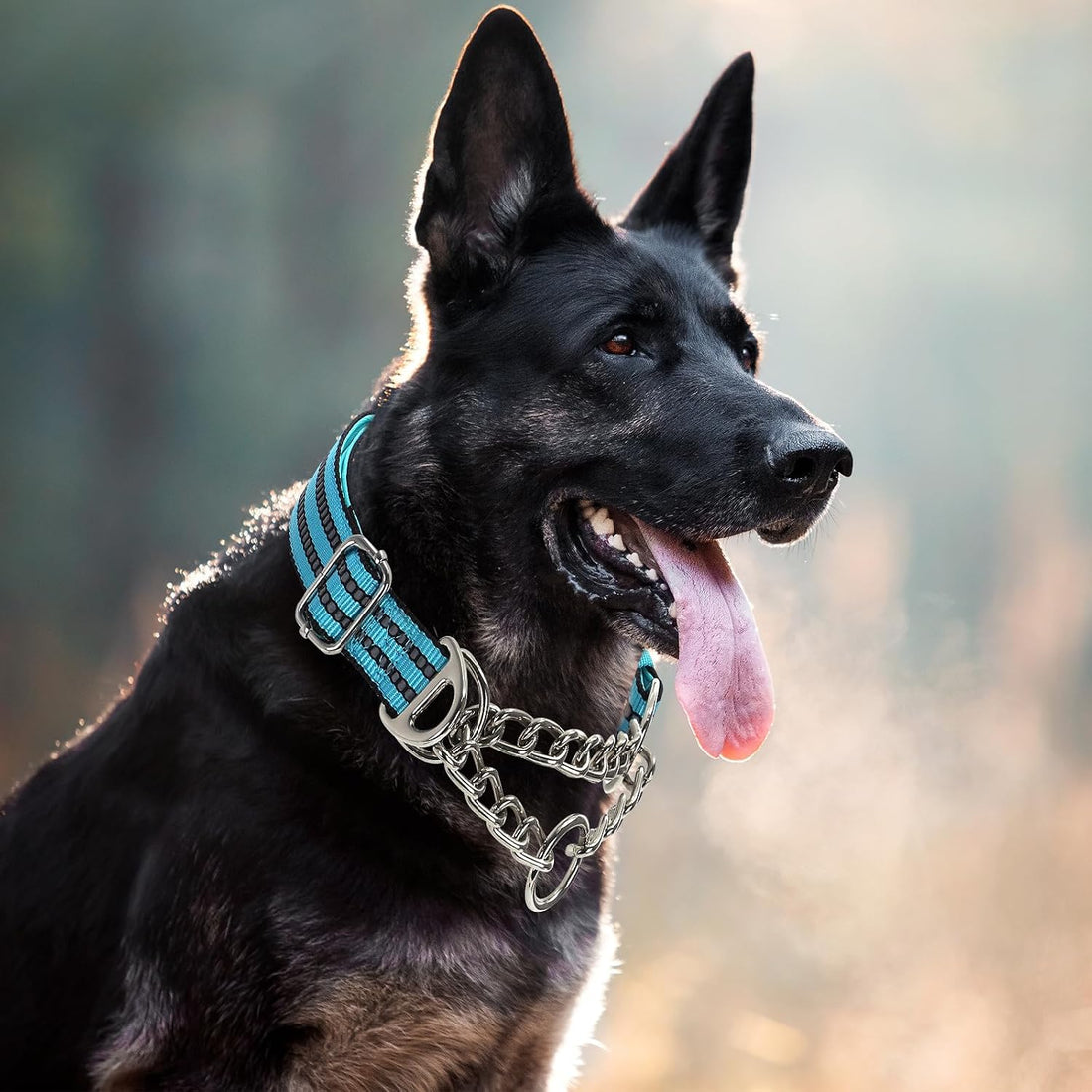 Chain Martingale Collar for Dogs, Dog Training Choker Collar-Bule L
