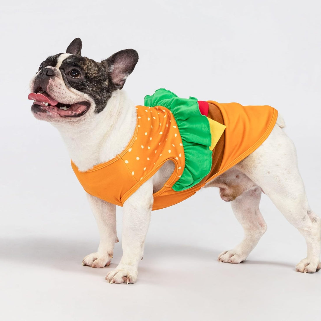 Fitwarm Halloween Dog Hamburger Costume