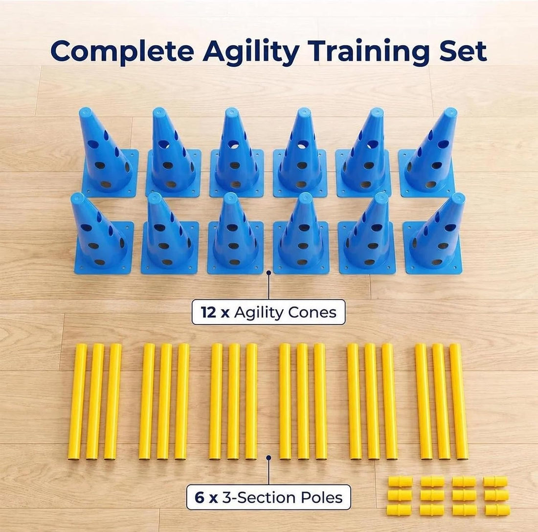 Dog Agility Equipment 12Inch Backyard Obstacle Course Agility Cones
