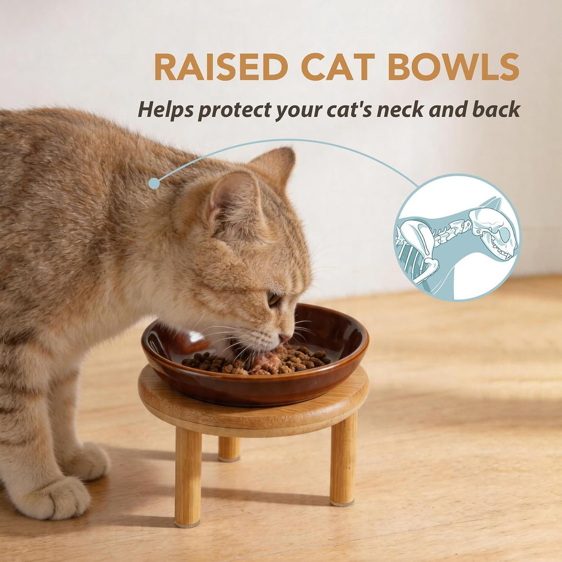 Havniva Elevated Cat Bowls Raised Ceramic Cat Bowl