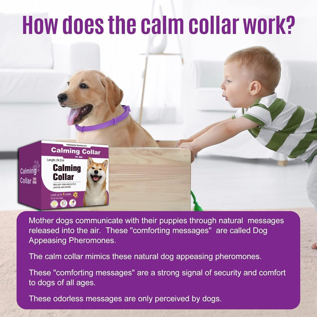 Calming Collars for Dogs, 4 Pack, 60-Day Pheromone Support